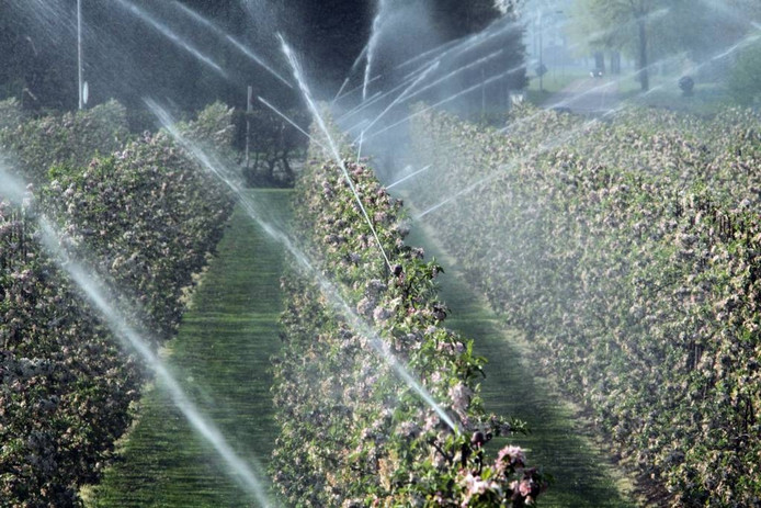 ?appId=21791a8992982cd8da851550a453bd7f&quality=0.9