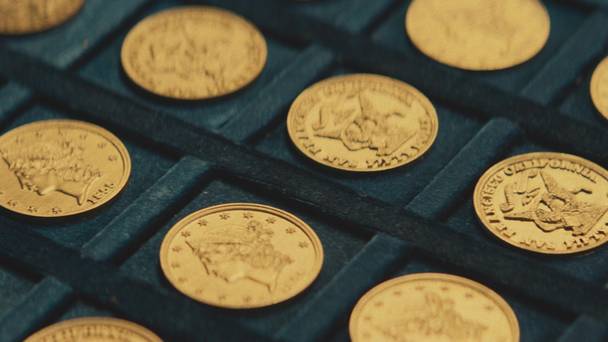 Cursed Gold: A Shipwreck Scandal