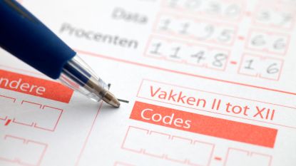 Papieren Belastingaangifte Wordt Zeldzaamheid Binnenland Hln Be