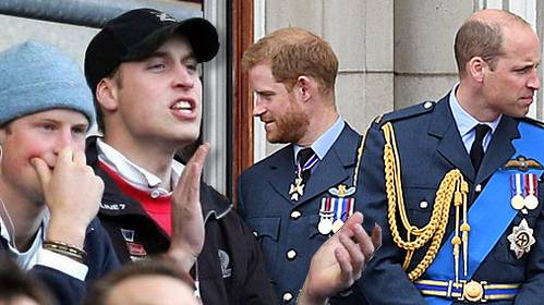 Wat liep er mis tussen Harry en William?
