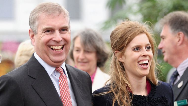 'Prins Andrew niet langer handelsgezant Groot-Brittanië ...