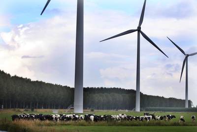 Wat betekent stikstofuitspraak nou echt voor Gelderland? ‘Van koppeling met energieakkoord word ik moe’