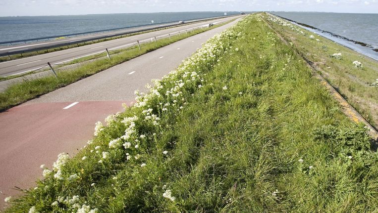 duurzaamheid&natuur Afsluitdijk gaat definitief open voor vissen - Trouw