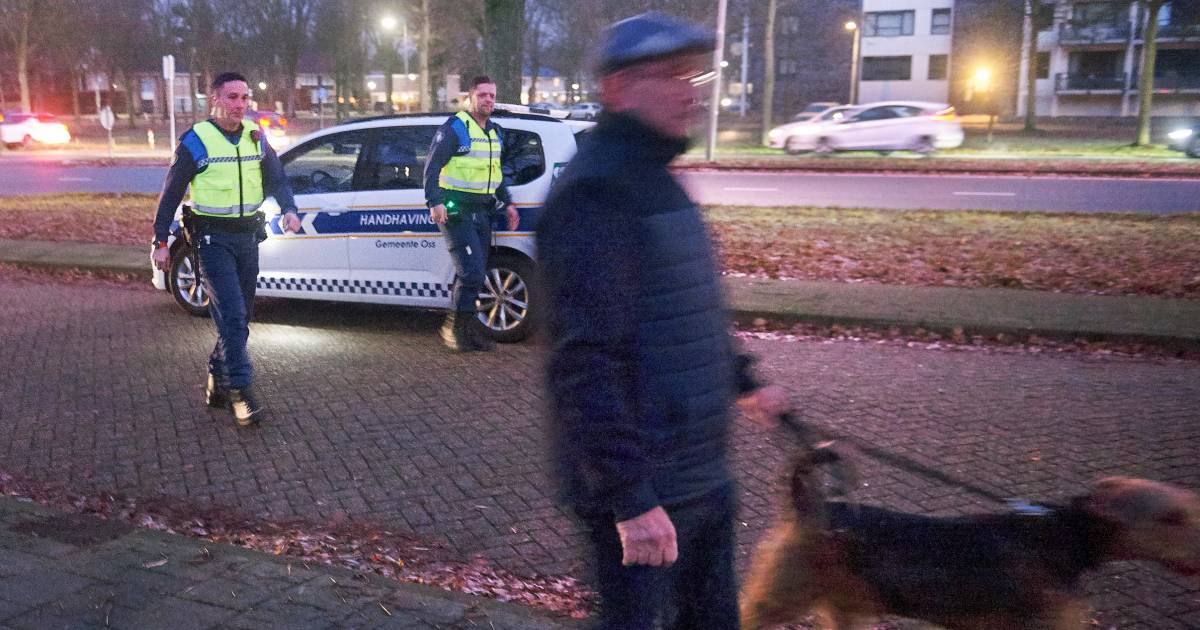 Deze Handhavers Geven Hondenbezitters De Keuze Boete Of De Poep Met Je Handen Opruimen Brabant Bndestem Nl