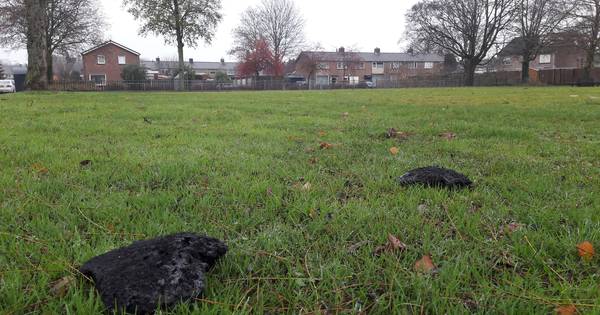 Weurt bezaaid met verbrand isolatiemateriaal na brand bij transportbedrijf