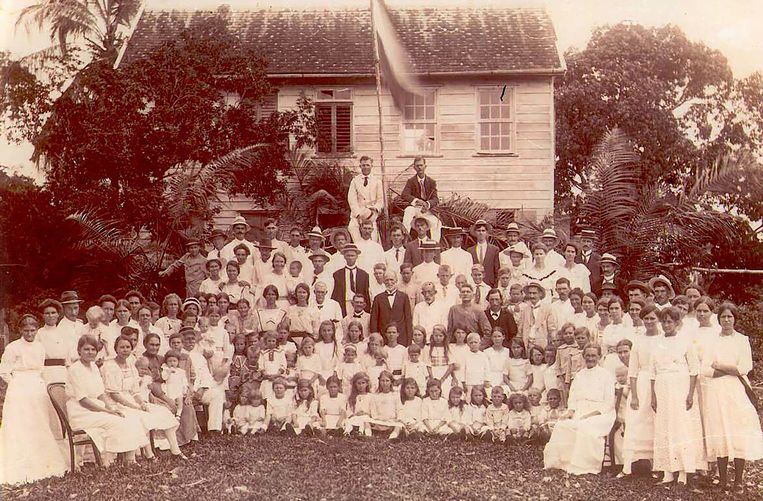 Op klompen trokken honderden straatarme Nederlanders 175 jaar geleden naar de Surinaamse jungle - Tr