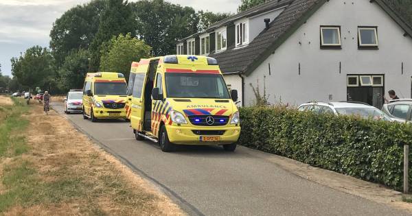 Vrouw gereanimeerd en naar ziekenhuis na wespensteek