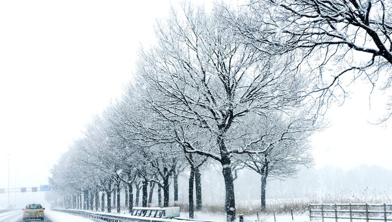 Mogelijk Volgende Week Sneeuw In Nederland De Volkskrant