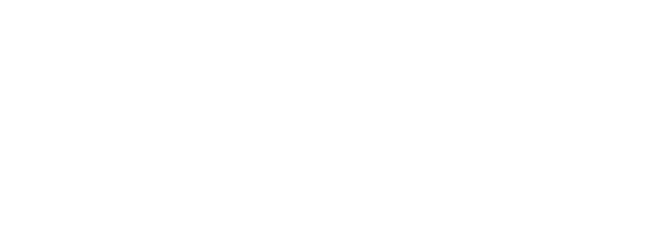 Mon conte de fées de Noël