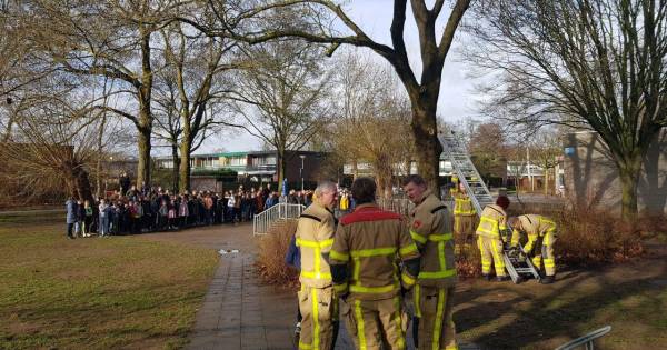 Doetinchem: Kinderen maken zich zorgen om een kat in de boom, de brandweer komt in actie | ?@ds_NWOverijssel? .