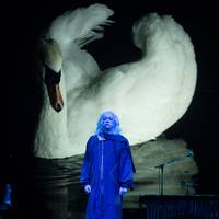 Anohni: ‘Ik ben er almaar meer van overtuigd dat het patriarchaat is afgebrokkeld tot iets wat lijkt op een soort kankergezwel’