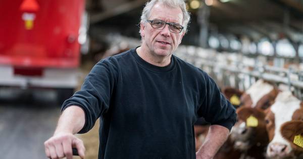 Kieskeurige koeien? Deze boer uit Bornerbroek heeft de oplossing - Tubantia
