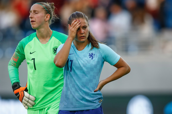Leeuwinnen Oranje Logo : Rapport: glanzende cijfers voor de Oranje Leeuwinnen | EK ... : De oranje leeuwinnen kregen een eigen knvb logo op het shirt voor het ek 2017.