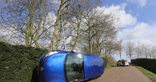 Vrouw en hond ongedeerd na botsing met lichtmast in Rossum.