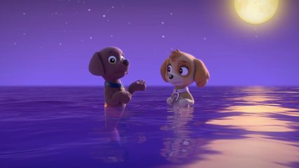 13. Pups redden een Meerpup