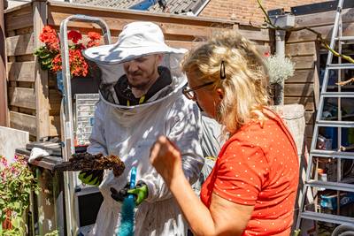 Braaf bijenvolkje uit Zonnemaire wordt ergens op Walcheren wakker