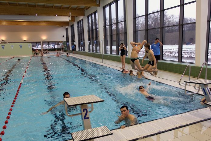 Eerste Zwemmers Testen Nieuw Zwembad Westerlo Hln Be