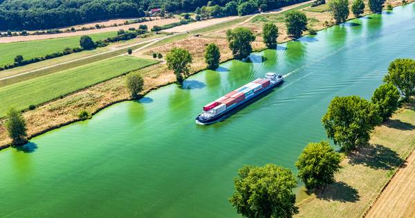 Natuur Zuidoost-Brabant: droge sloten en veel blauwalg verwacht - Eindhovens Dagblad