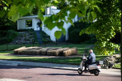 Laat de buxusmot maar komen in Beek