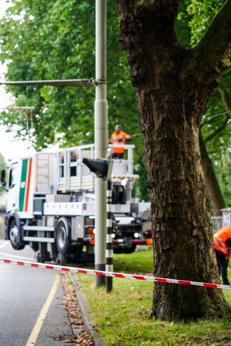 Andy zet tent op om zijn moeder in de watten te leggen: zij Andy zet tent op om zijn moeder in de watten te leggen: zij