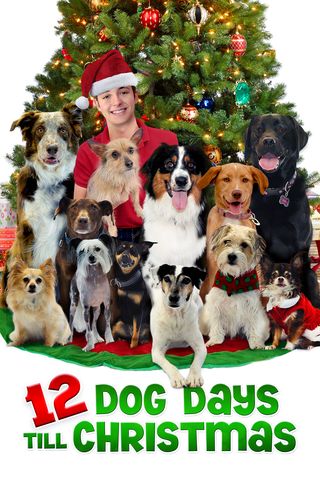 12 Dog Days Till Christmas