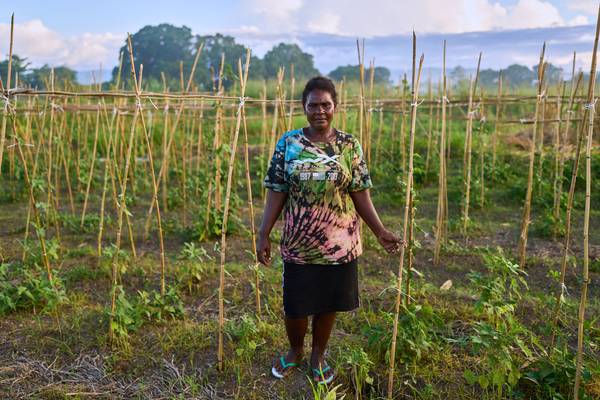 De wereld van de Chinezen