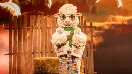 Schaapje vergeet even haar angsten