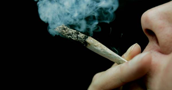 21-jarige man aangehouden in Ulvenhout met 150 kilo hasj in auto - BN DeStem