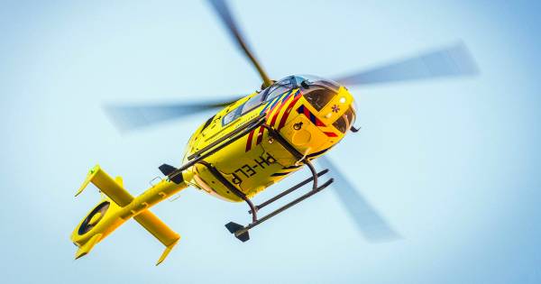 Jonge vrouw overleden na ongeval met op hol geslagen paard in Stolwijk.