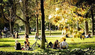 Tripje naar WK Rusland loopt verkeerd af voor verkrachter