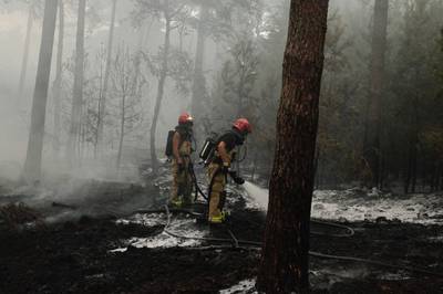 Brandweer heeft handen vol aan zeer grote bosbrand op de Nederheide