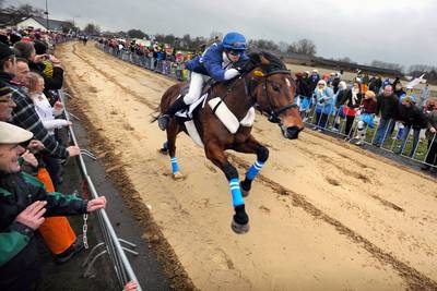 'Handelaar tilde verzekering en loog over door dure sportpaarden'