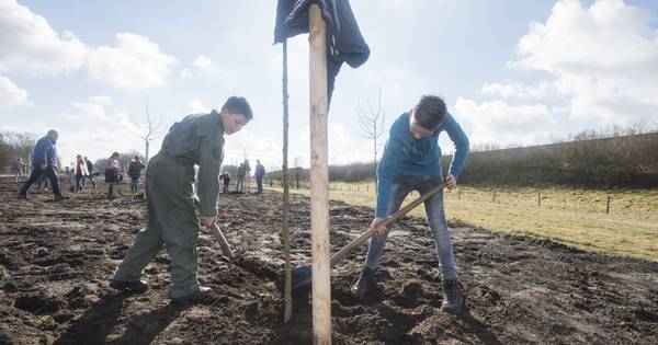 Geesteren wordt nog veel groener na vrijdag!