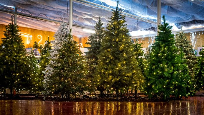 Groen Schuldgevoel Adopteer Een Kerstboom Amsterdam Ad Nl