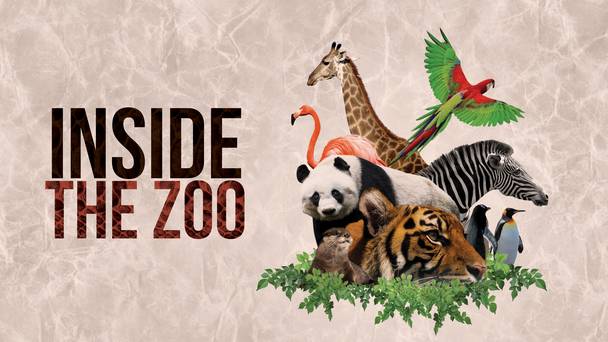 Inside Edinburgh Zoo