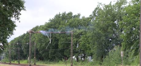 Ooievaarsnest geeft kortsluiting; treinverkeer plat bij Barneveld