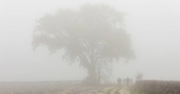 Wat is Twente toch mooi in de mist - Tubantia