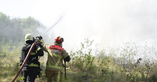 Grote natuurbrand in Bornerbroek onder controle | Almelo - Tubantia