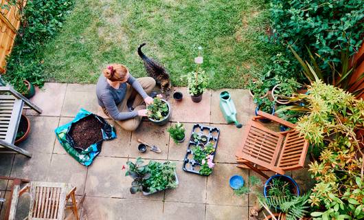 Lentekriebels? Zo breng je de tuin weer in shape voor het nieuwe seizoen