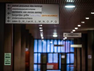 Zware celstraf voor man die z’n ex-vriendin bewerkte met een mes en haar kunstgalerij kort en klein sloeg