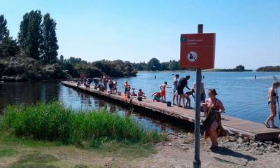 Tientallen bekeuringen voor mensen die emmers vol krab uit Grevelingen halen