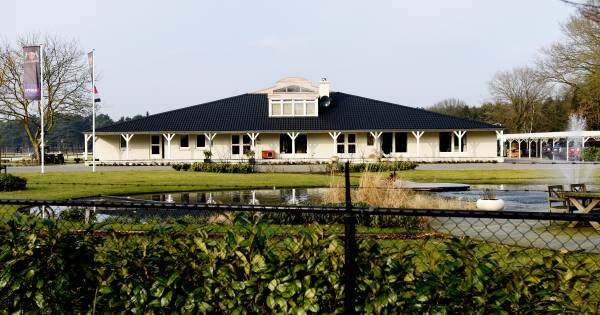 Hoe een Aziatische paardendroom in Riel verzandde in een juridisch moeras: zes jaar Platinum Stable 