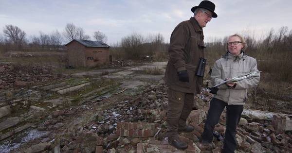Natuur krijgt kans bij oude steenfabriek - De Gelderlander