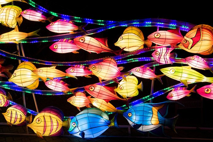 China Light Festival In Ouwehands Dierenpark Is Alsof Je In Een