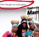 Stewardess in opspraak na Afrikaanse verkleedpartij op Aalst Carnaval