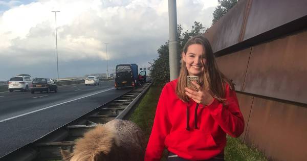 Calijn en Sanne (18) vangen losgebroken pony's langs A2 - De Gelderlander