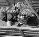 Journalisten achterhalen wie drenkeling is die afgelopen zomer voor Belgische kust werd gevonden: ‘Deze foto is het symbool van totale wanhoop’