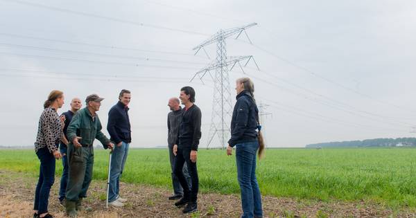 Minister Wiebes zwicht niet, hoogspanningslijn dicht op De Kattekraem: 'Het is triest dat hij niet w